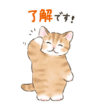【BIG】イベント☆猫たちのスタンプ（個別スタンプ：38）