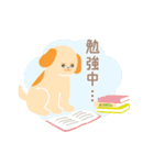 動物福祉がわかる！アニドネスタンプ（個別スタンプ：6）