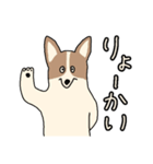 まいにち★Dogs（個別スタンプ：3）