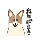 まいにち★Dogs（個別スタンプ：6）