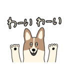 まいにち★Dogs（個別スタンプ：18）