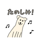 まいにち★Dogs（個別スタンプ：19）