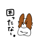 困っている犬(出雲)（個別スタンプ：11）