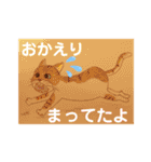 おおさかねこちゃん12（個別スタンプ：7）