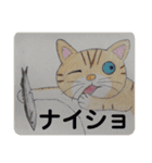 おおさかねこちゃん12（個別スタンプ：10）