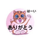 おおさかねこちゃん12（個別スタンプ：11）