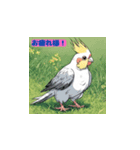 オカメインコの華麗なポーズ（個別スタンプ：3）