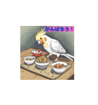 オカメインコの華麗なポーズ（個別スタンプ：7）