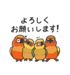 毎日使えるコガネメキシコインコのスタンプ（個別スタンプ：5）