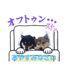 姫・夢  3（個別スタンプ：38）