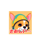 愛犬と安全を共に！チワワヘルメット（個別スタンプ：9）