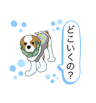 キャバリア犬城（個別スタンプ：4）