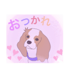 キャバリア犬城（個別スタンプ：6）