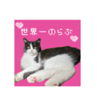 ぽんちゃんのおたく（個別スタンプ：2）