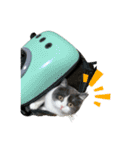 ぽんちゃんのおたく（個別スタンプ：14）