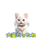 猫の挨拶スタンプセット（個別スタンプ：1）