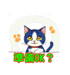 猫の挨拶スタンプセット（個別スタンプ：23）