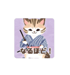 猫が侍になった（個別スタンプ：13）