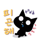 黒猫のちょうどよく使える！韓国語スタンプ（個別スタンプ：12）