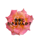 季節の花⭐︎コロナ中の薔薇の呟き（個別スタンプ：15）