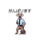 ドット絵 ワイマラナー 犬 日常会話 40（個別スタンプ：16）