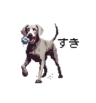 ドット絵 ワイマラナー 犬 日常会話 40（個別スタンプ：20）