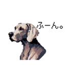 ドット絵 ワイマラナー 犬 日常会話 40（個別スタンプ：27）