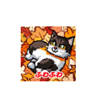 秋の猫と紅葉（個別スタンプ：20）