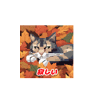 秋の猫と紅葉（個別スタンプ：21）