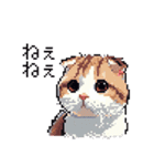 ドット絵 スコティッシュフォールド 猫（個別スタンプ：3）