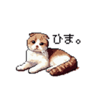 ドット絵 スコティッシュフォールド 猫（個別スタンプ：4）