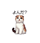 ドット絵 スコティッシュフォールド 猫（個別スタンプ：5）