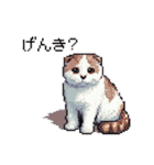 ドット絵 スコティッシュフォールド 猫（個別スタンプ：6）