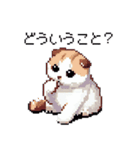 ドット絵 スコティッシュフォールド 猫（個別スタンプ：7）