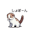 ドット絵 スコティッシュフォールド 猫（個別スタンプ：8）