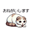 ドット絵 スコティッシュフォールド 猫（個別スタンプ：9）