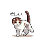 ドット絵 スコティッシュフォールド 猫（個別スタンプ：10）