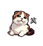 ドット絵 スコティッシュフォールド 猫（個別スタンプ：11）