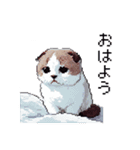 ドット絵 スコティッシュフォールド 猫（個別スタンプ：13）