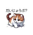 ドット絵 スコティッシュフォールド 猫（個別スタンプ：14）