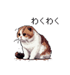 ドット絵 スコティッシュフォールド 猫（個別スタンプ：16）