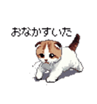 ドット絵 スコティッシュフォールド 猫（個別スタンプ：19）