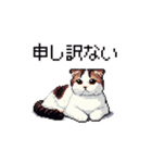 ドット絵 スコティッシュフォールド 猫（個別スタンプ：21）