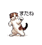 ドット絵 スコティッシュフォールド 猫（個別スタンプ：23）