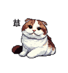 ドット絵 スコティッシュフォールド 猫（個別スタンプ：24）