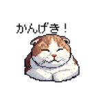 ドット絵 スコティッシュフォールド 猫（個別スタンプ：27）