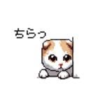 ドット絵 スコティッシュフォールド 猫（個別スタンプ：30）