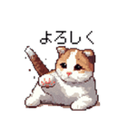 ドット絵 スコティッシュフォールド 猫（個別スタンプ：33）