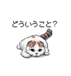 ドット絵 スコティッシュフォールド 猫（個別スタンプ：36）