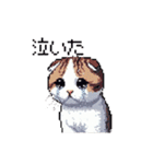 ドット絵 スコティッシュフォールド 猫（個別スタンプ：39）